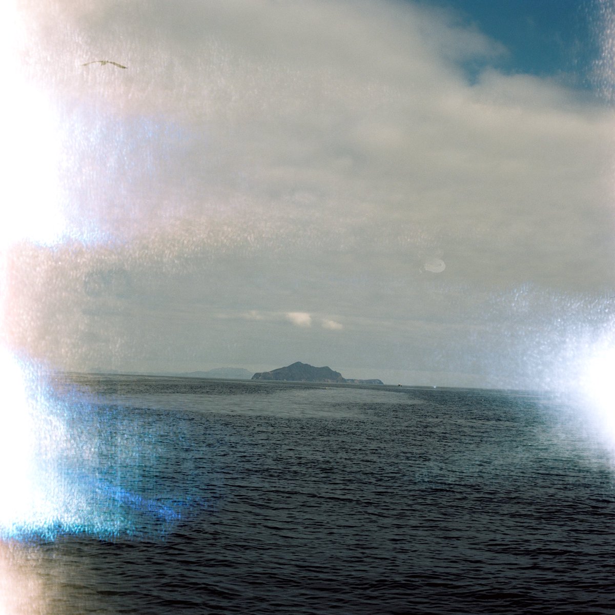 𝖉𝖊𝖒𝖎 tweet media