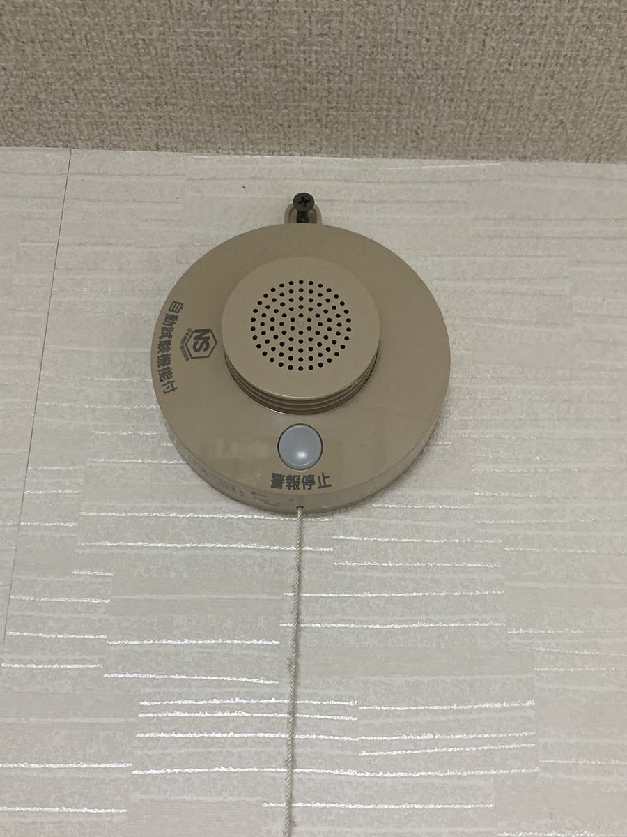 Maru (@Maru32768) / Posts / X