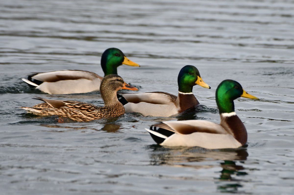 J@a.p (@jose_ap19) on Twitter photo 