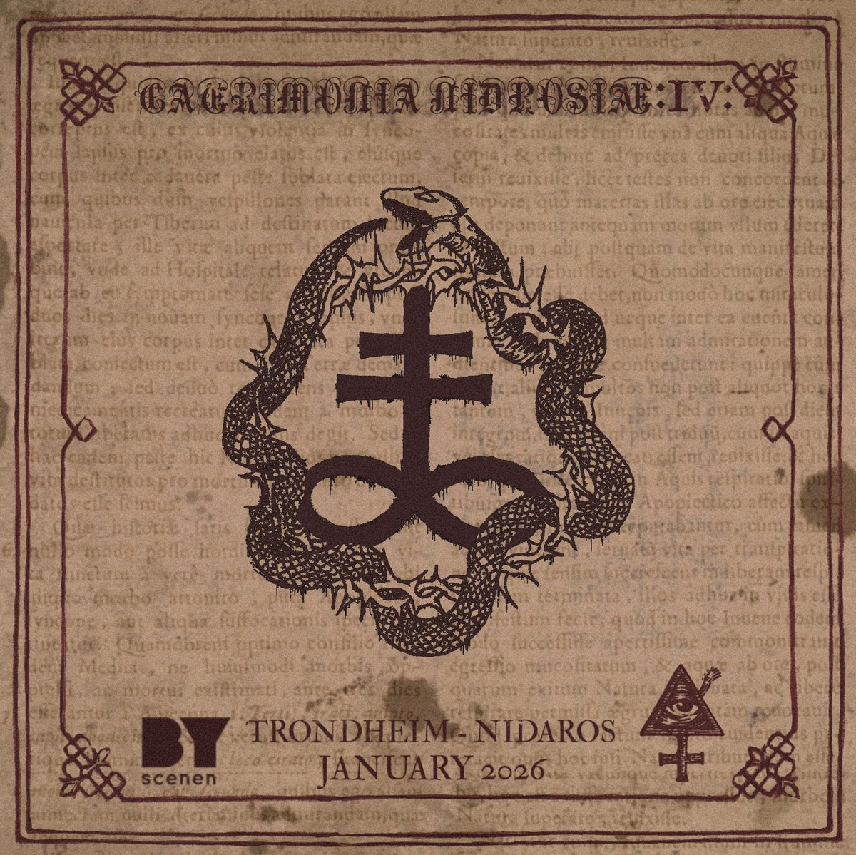 Terratur Possessions tweet media