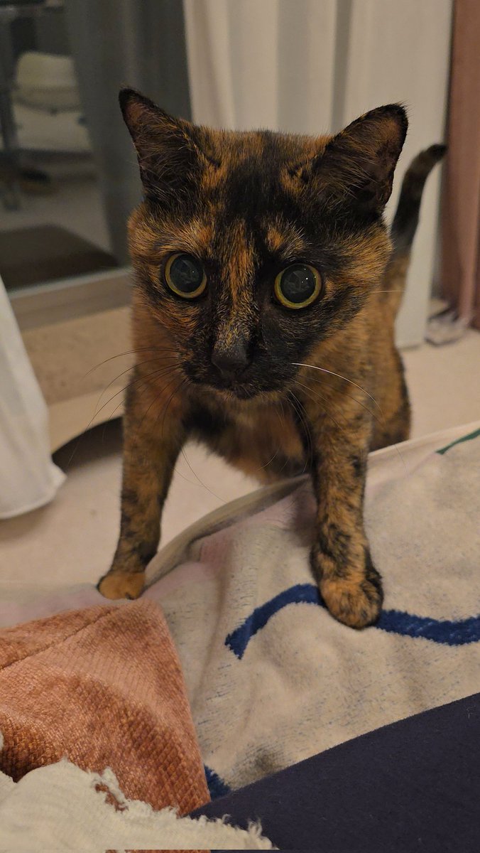 だこしてくれると聞いたんですが…