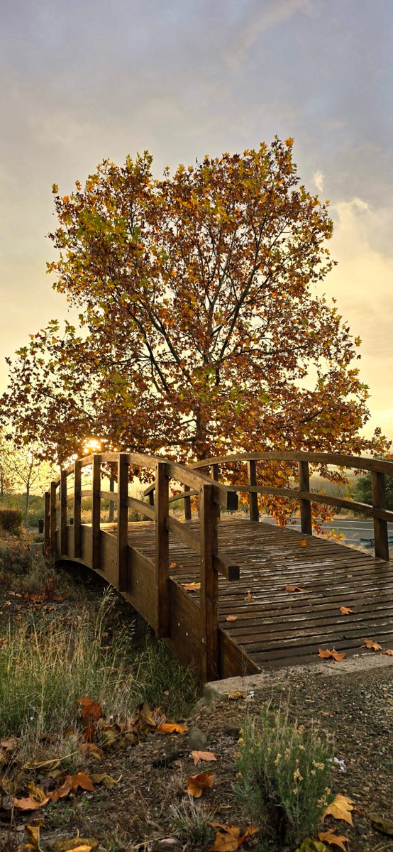 #paseos #senderismo #AutumnVibes #Fitero
turismofitero.com/fiteroesnatura…