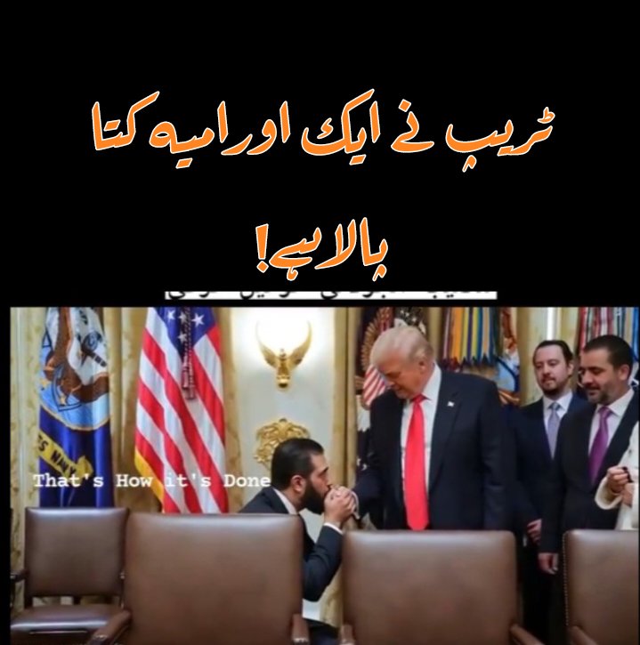 TheHecHii's tweet photo. ٹریپ کو ایک اور امیہ دہشگرد کتا مل گیا🐶🙌 https://t.co/Ja6GZBXa8y