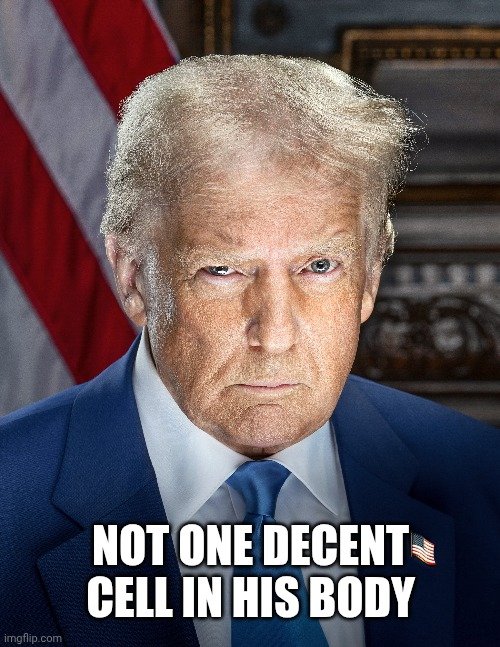 BrianAndrews78's tweet photo. @krassenstein NOT ONE DECENT CELL IN HIS BODY https://t.co/FlG3CayWxr