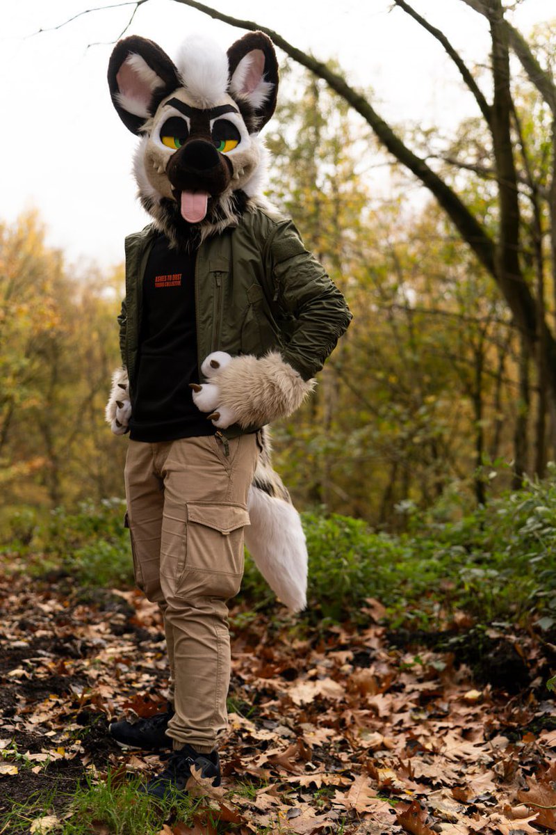 Flarewolfff's tweet photo. Thx @HypiTheFox for the cool pictures 

And @WoofWorks_  for the Nice partial suit https://t.co/7hD0dmARa6