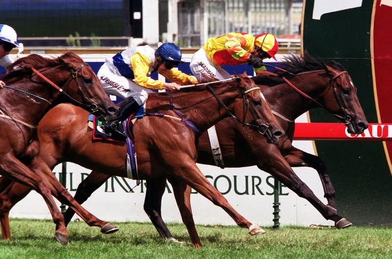 bets_comau's tweet image. The C.F. Orr Stakes has changed tracks, eras and generations — but its tradition of producing elite winners has never shifted

@RacingPedigrees @MelbRacingClub @7horseracing 

A deep dive into a race that has travelled through time 👇

bets.com.au/racing-news/c-…