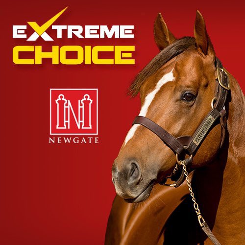 Debut winner for E❌treme Choice 🚀

LIKE CLOCKWORK ⏰ delivers a smart victory on debut for the Michael Grantham stable 💪🏼

Carrying the famous Peter’s Investments colours - no stranger to smart fillies 📝

Purchased from <a href="/inglis_sales/">Inglis</a> Classic Sale by Byerley Bloodstock