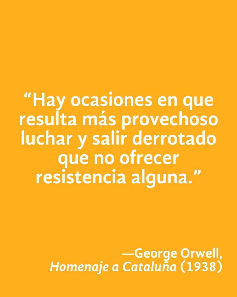 revistaLeemas's tweet image. Hay batallas que se pierden con el cuerpo, pero se ganan con el alma.
Leer es esa forma silenciosa de no rendirse. ✨📖

 #georgeorwell #frasedeldía #lectores #amorporloslibros #leerpararesistir #librosqueinspiran #palabrasquetransforman