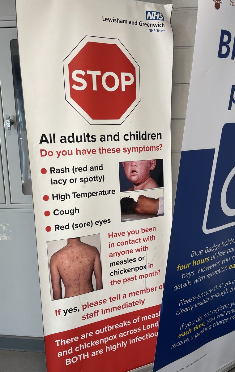 Dame Sa 🐝 3.5% tweet media