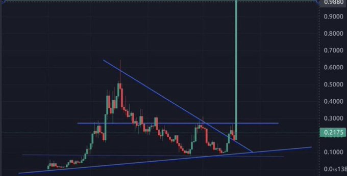 CRYPTO THRO tweet media