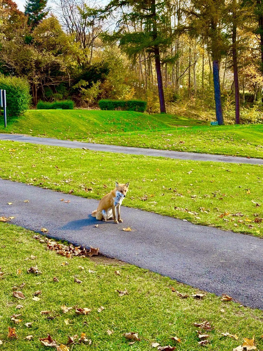 衣替え終わってないのに、すごい量の採譜とバルトークのアレンジで目が回るー
北海道のゴルフ合宿楽しかったなー(遠い目)