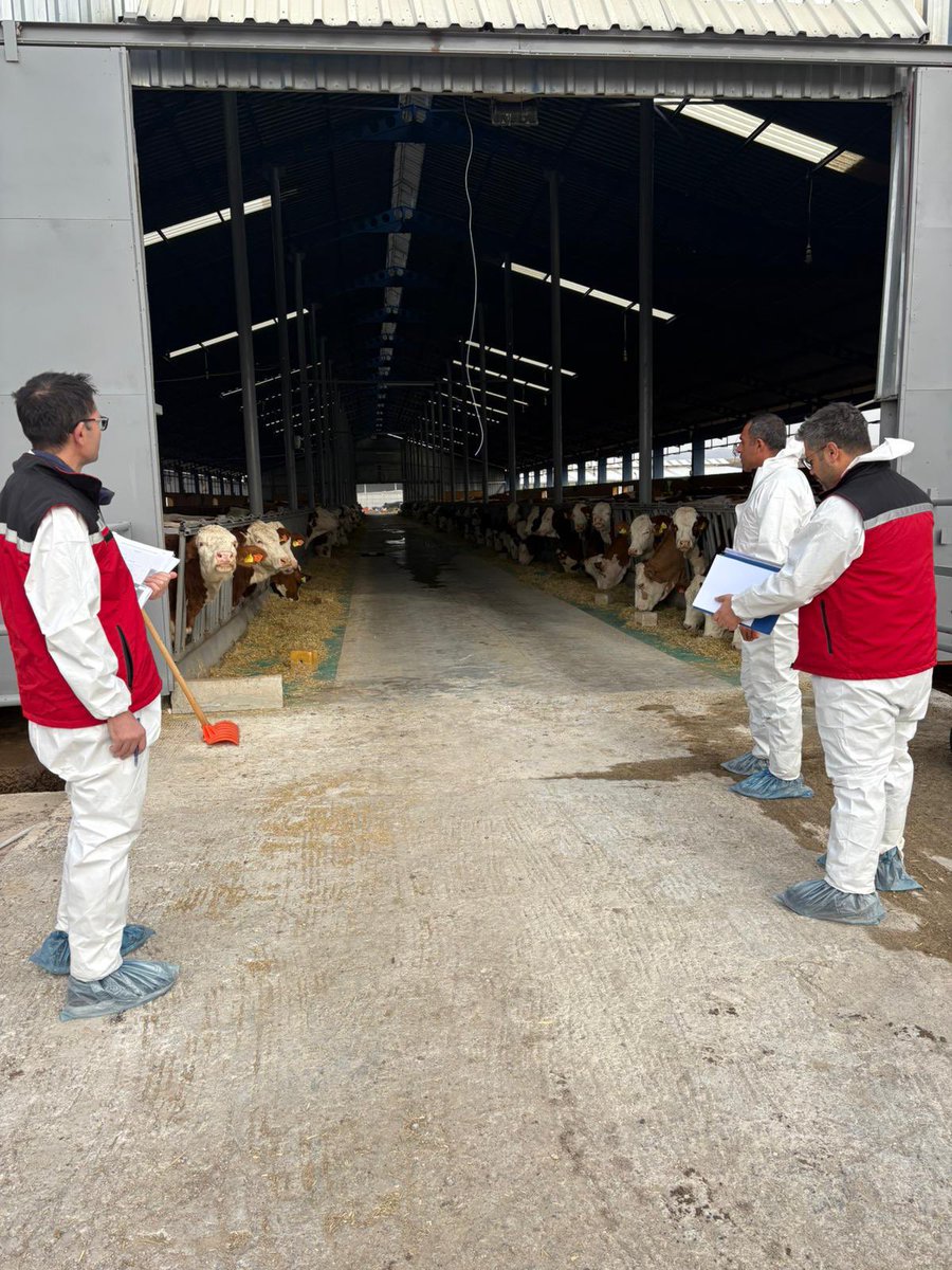 🐮🌿 Ari İşletme Çalışmalarımız Sürüyor!
Bakanlığımızın talimatıyla ülke genelinde ari işletme sayısını artırmaya yönelik çalışmalar kapsamında, Nevşehir il ve ilçelerinde yürütülen denetim ve bilgilendirme faaliyetlerimiz hız kesmeden devam ediyor.