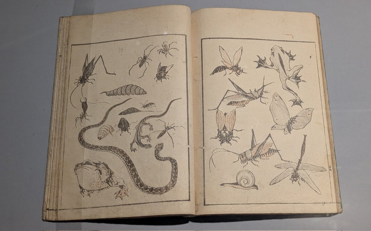 お蚕さんと蟲 by北斎