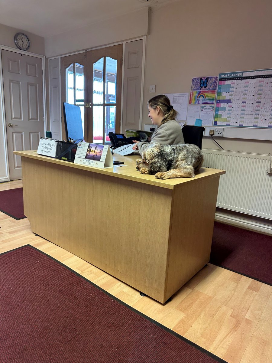 StopfordsAcc's tweet image. Glen paid a visit to our client Moxon&apos;s Tours, Worksop last week🚌 Archie the dog was making sure Michelle and the team were being paw-sitively productive keeping an eye out for anyone snoozing on the job! 💤

#clientvisit #mansfieldaccountant