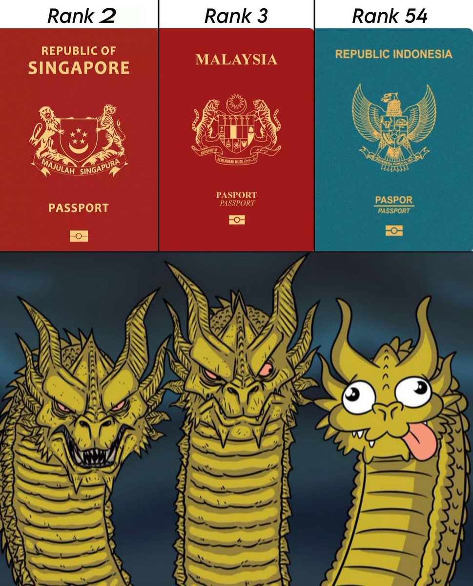 qrivasi's tweet image. 