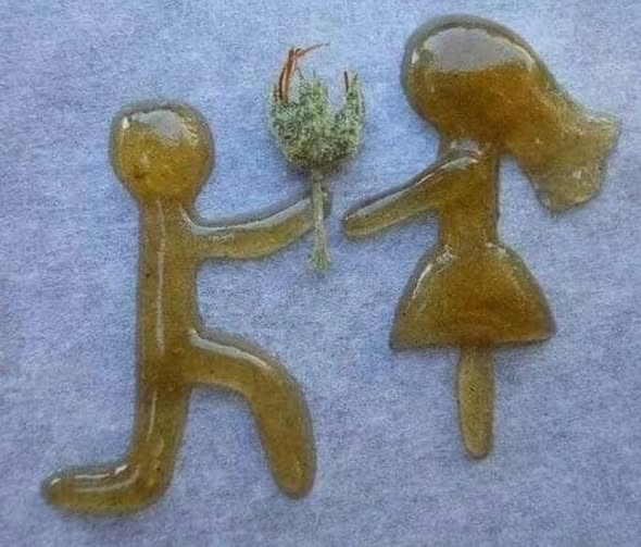 HEMP EMBASSY HEADLINES #681 | 13 NOVEMBER 2025 - mailchi.mp/hempembassy.ne…
Bring 50 years of experience &amp; knowledge in Aussie cannabis culture to front of queue when we licence/permit. Sounds fair. We’ve given all trade to ‘Big Weed’—businesses—don't even use the plant.
HEMP Head