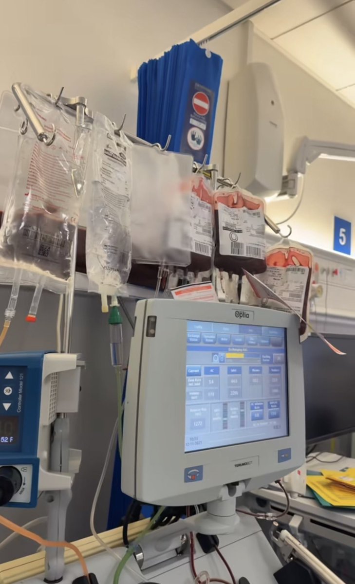 Debayo 🌱 tweet media