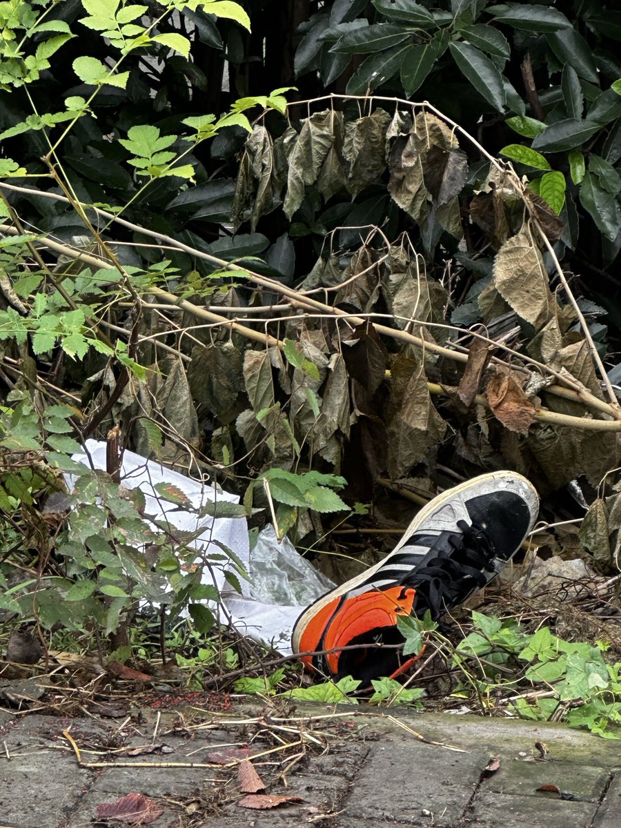 直接丢在路边过几天来看看