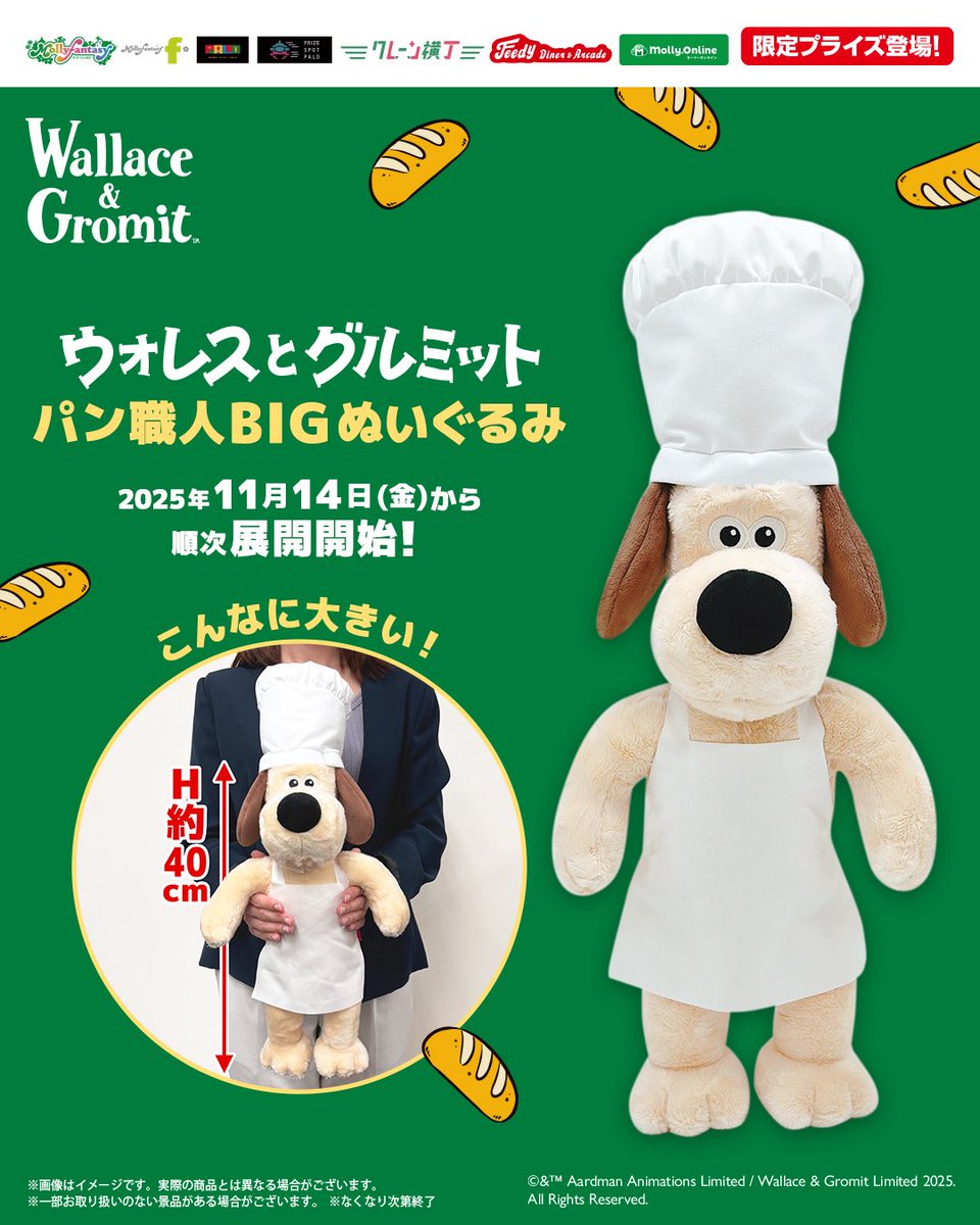 MOLLY.ONLINE （モーリーオンライン）【公式】 (@MOLLYONLINE_of