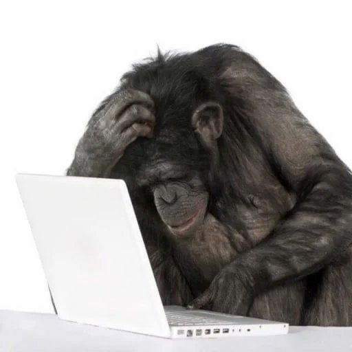 MichaelMuscan's tweet image. Transaction failed to send: Transaction failed to generate: Error: Insufficient liquidity: pool is out of SOL due to Mayhem mode