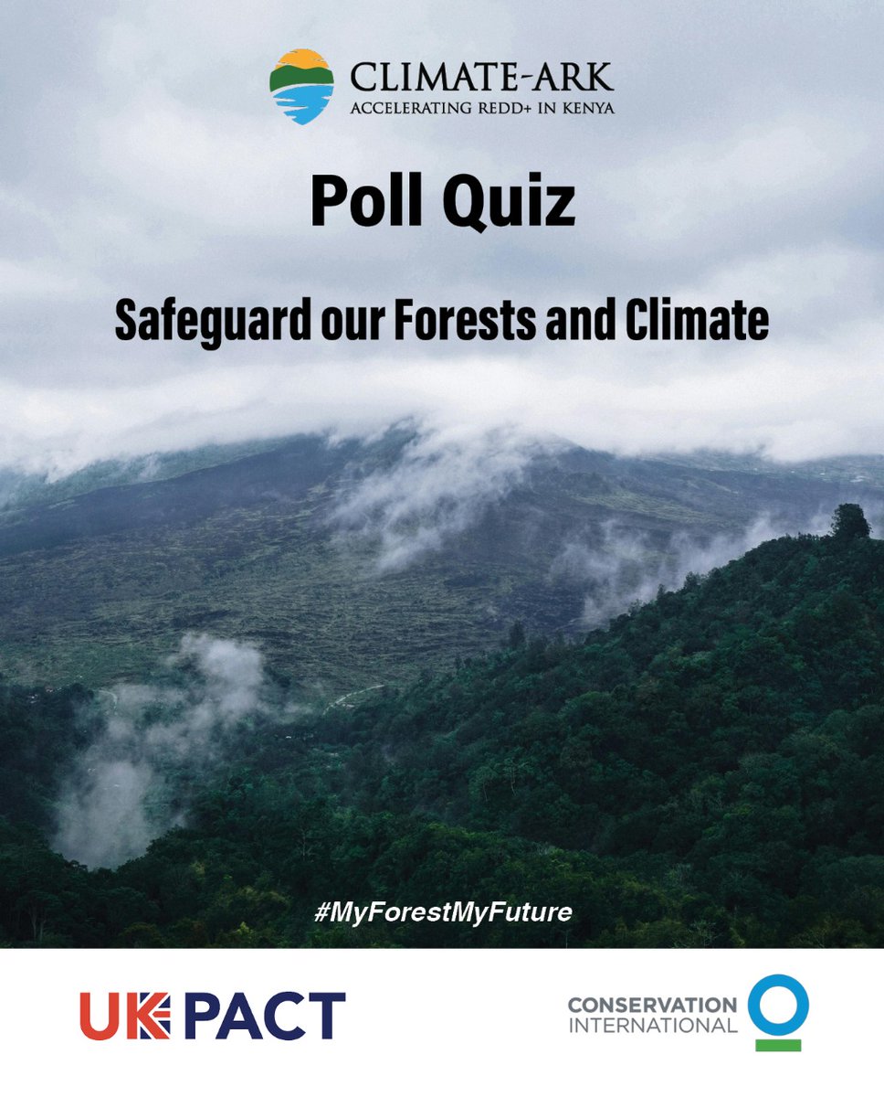 Which action should Kenya prioritize most to protect forests &amp; climate?

► Restoring degraded forests
► Community-led conservation
► Governance &amp; policy
► Climate education

Comment your pick &amp; explain why 

 #ClimateArk #MyForestMyFuture #REDDPlusKenya #SustainableKenya