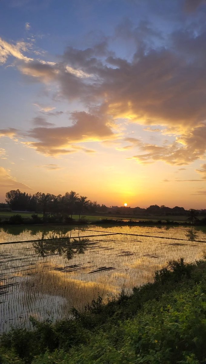 Gmabs 

Can I get GM?