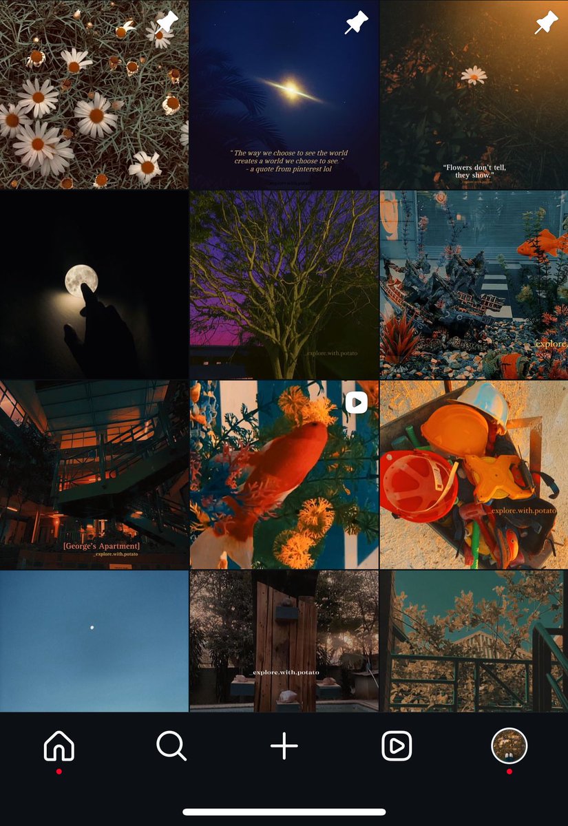 unc1e_potato's tweet image. The banner I’m using currently is an amateur shot and edit I did a while back, and the images below are some of my own pieces too, all created on my current phone.