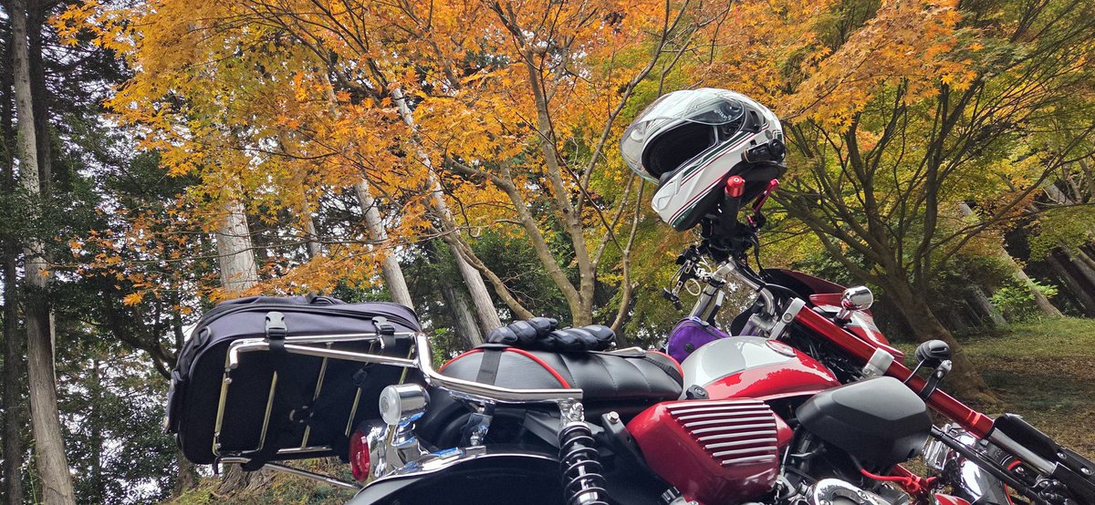 秋を感じるツー🏍
近所の山も色付いてきました🍁
 #モンキー125  #紅葉2025