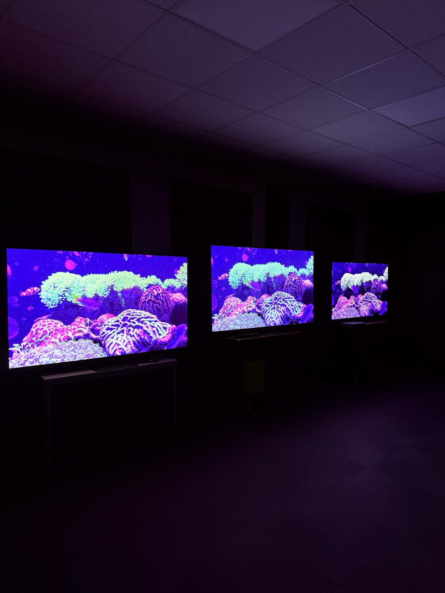 picturesff's tweet photo. Some BT.2020 colors in a recent shooting of aquariums. Finally, youtube processed the HDR (which takes multiple days sometimes). The BT.2020 colors appeared because of UV lighting in some of the aquariums. I’d be interested to hear how the colors appear on different HDR capable phones and TVs.

https://t.co/uaTb7Tn0oe