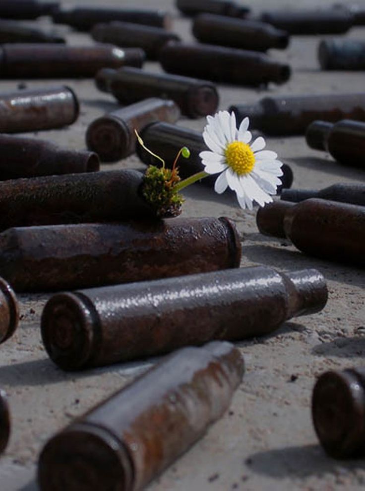 Hيm johar🙃 (@hjouhar0) on Twitter photo 