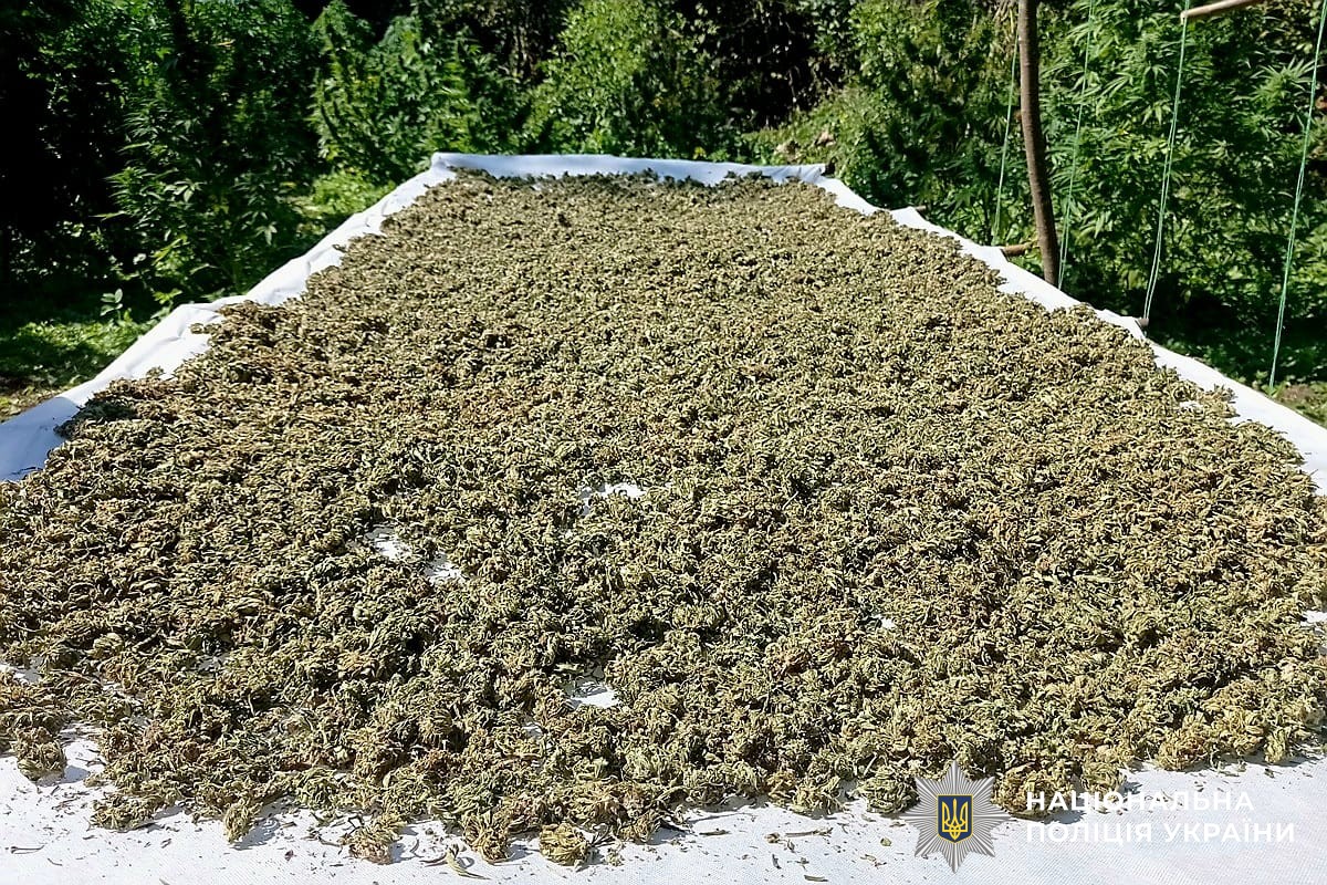 get_more's tweet image. Los Podillianos Vinnytsia Verde