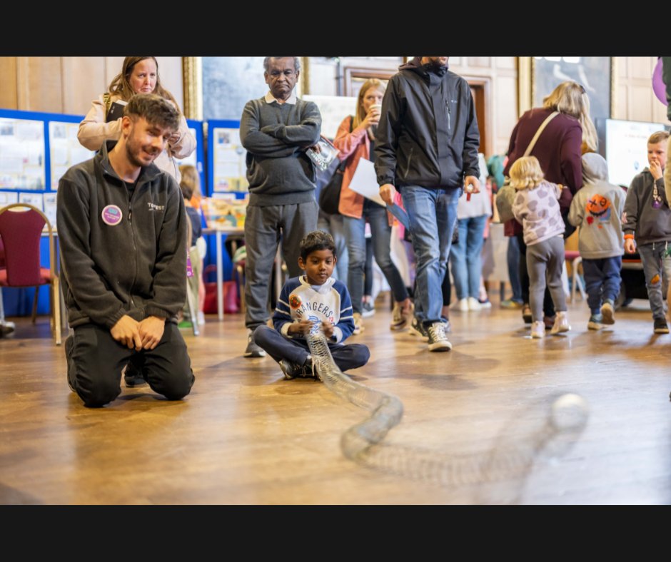 TechFestNews's tweet image. As 2025 wraps up, we’re sharing highlights from an amazing year! 

First up: Light Up Your World, debuted at Aberdeen Science Festival &amp;amp; Explorathon’s Discovery Day supported by @IOPScotland funding.

Don&apos;t forget to join our mailing list: techfest.org.uk/contact/mailin…