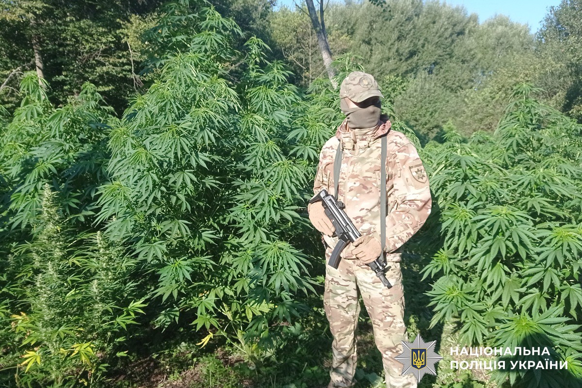 get_more's tweet image. Los Podillianos Vinnytsia Verde