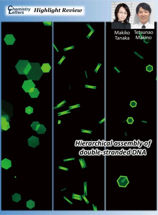 CSJjournals_jp's tweet image. [Highlight Review]
DNA, liquid crystal, self-assembly
田仲真紀子先生 @uectokyo (電気通信大学)
#OnTheCover #FreeAccess

academic.oup.com/chemlett/artic…