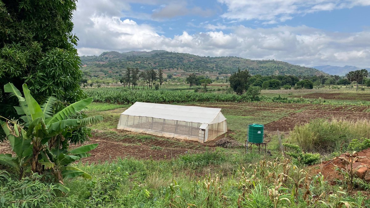 ActionAidZim's tweet image. We visited Chimanimani, Chipinge &amp;amp; Harare (3‑7 Nov 2025) with AADK visitors Teresa Leczano Hermoso &amp;amp; Adinde Huzenga. @greengovzw1  SPA 2 (2022‑2026, DANIDA-funded) is empowering young women post‑Idai—leadership, agro‑ecology, food security &amp;amp; Green Villages. #ClimateJustice