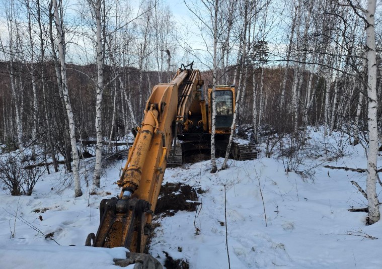 Экологийн цагдаагийн алба tweet media