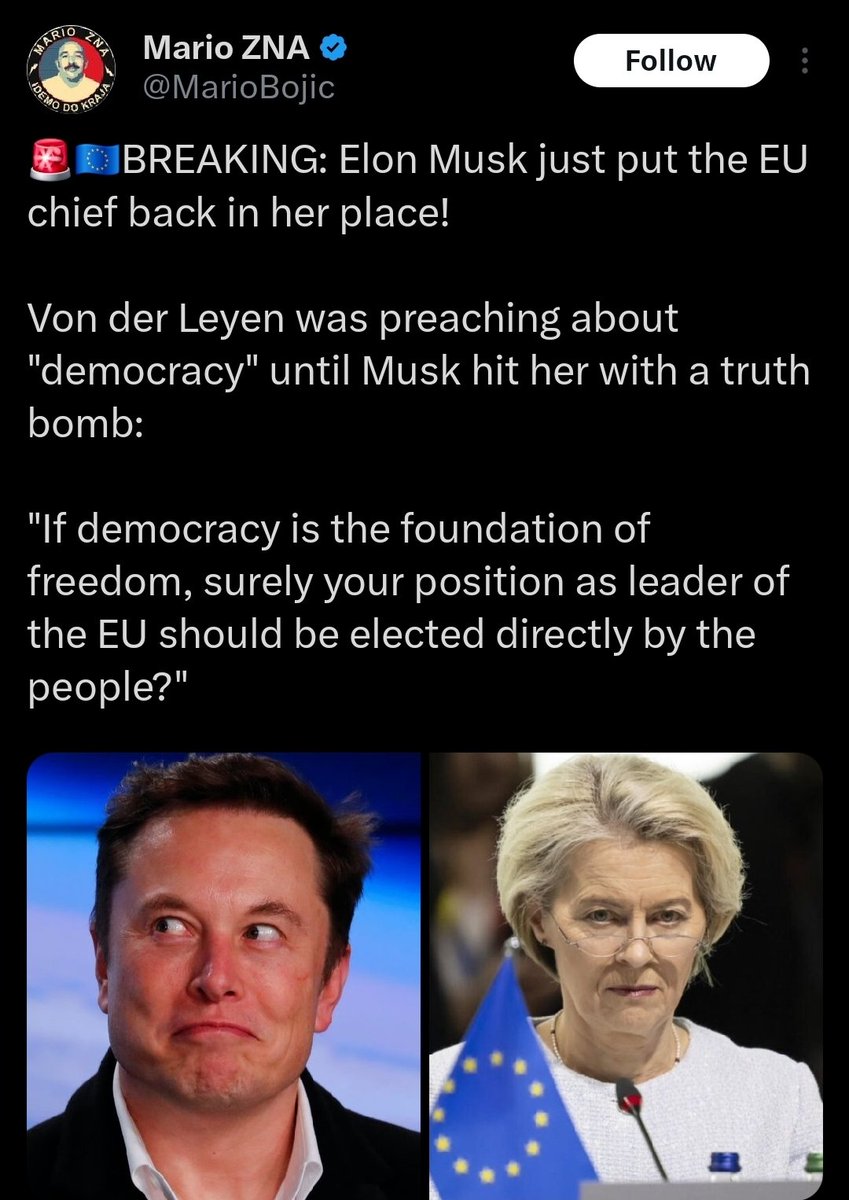 Did the American people elect Elon Musk to run DOGE?