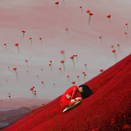 Angst ist ein Gast, der geht,
wenn du dich weigerst,
ihn zu bedienen

-Rumi