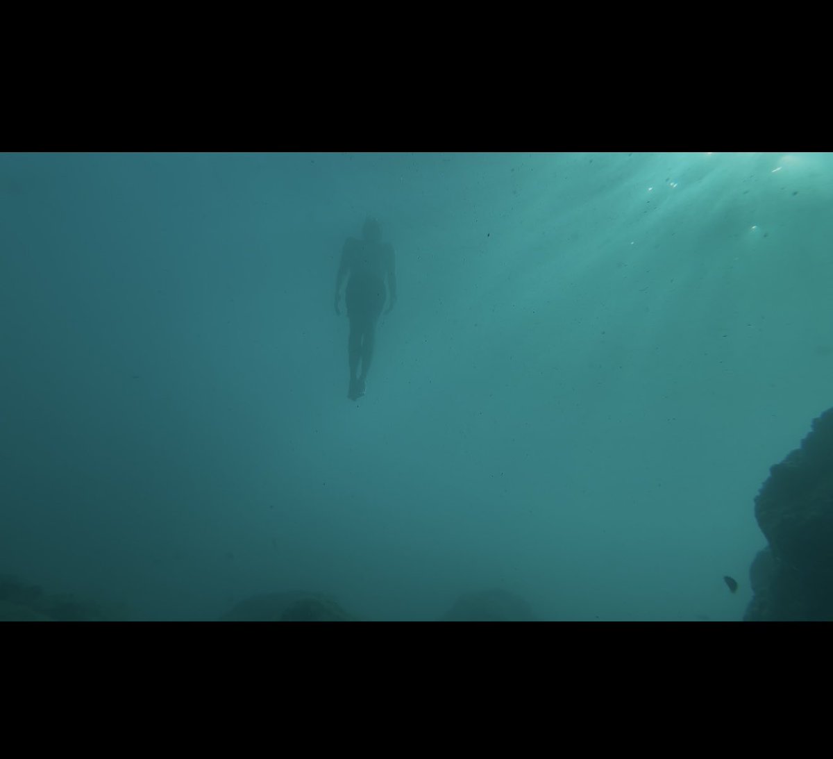 Zhirnoff 𝕏 (@zhirnoff) on Twitter photo 