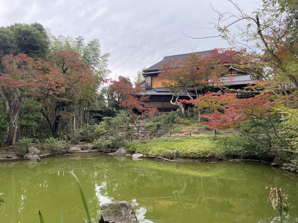 昭和美術館 tweet media