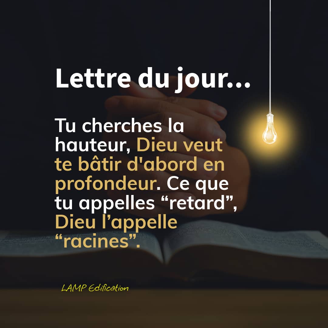 LAMP Edification tweet media