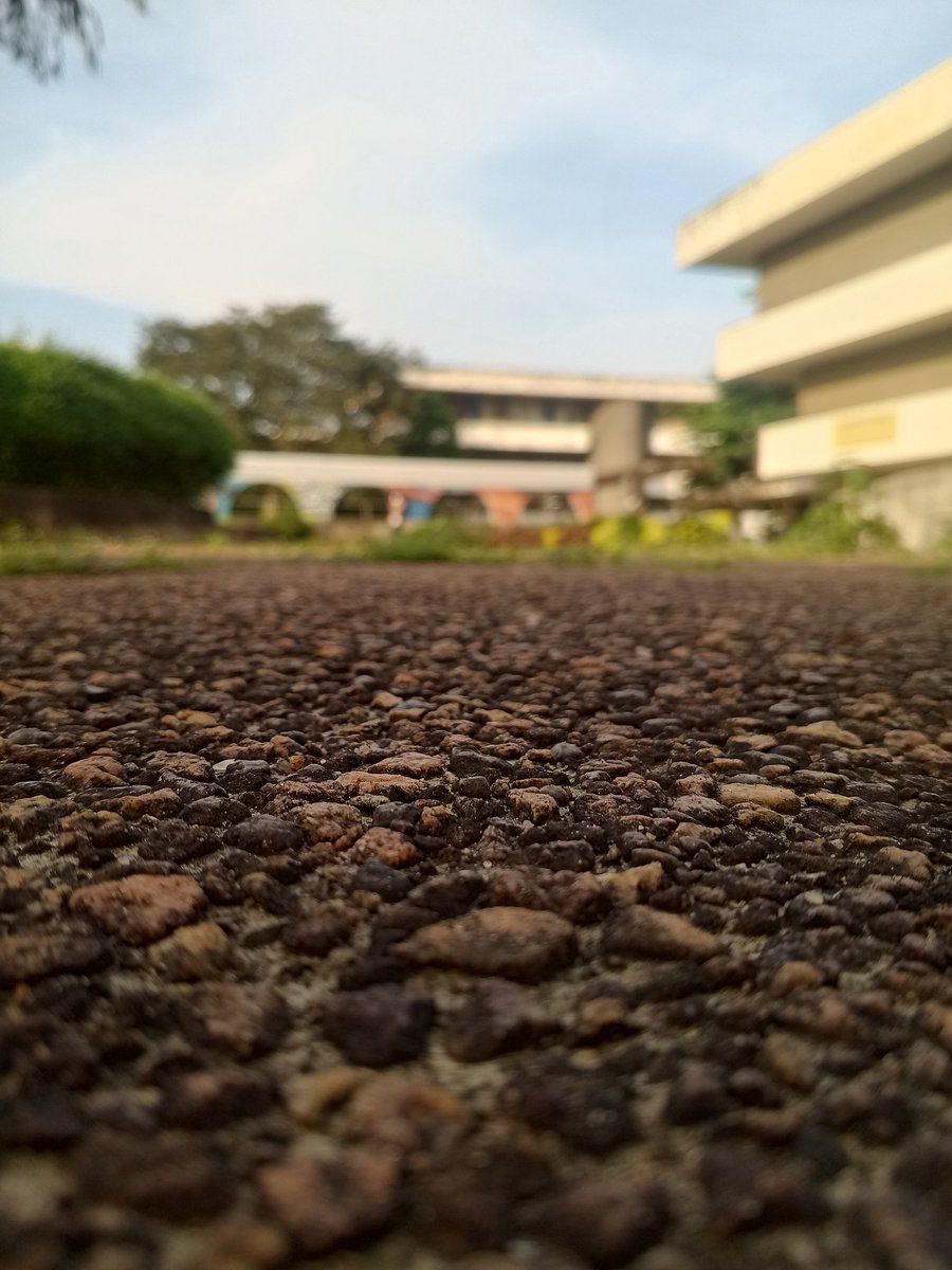 EASYPIPSFX's tweet image. Learn to go after your goals and achieve them💯

90% of people who set goals doesn&apos;t achieve them😌

Don&apos;t be one of them👀

GM CT💙