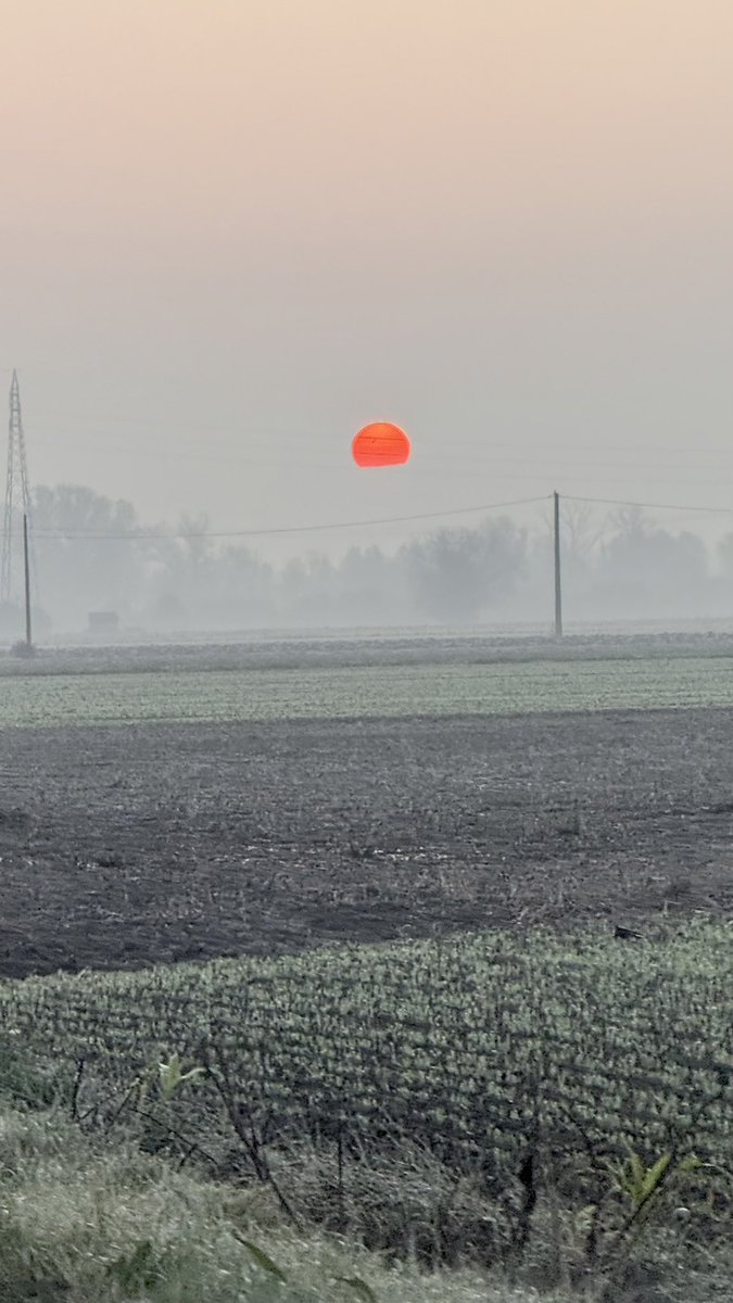 maxper63's tweet image. Alba tragica (cit) @Morenozagor