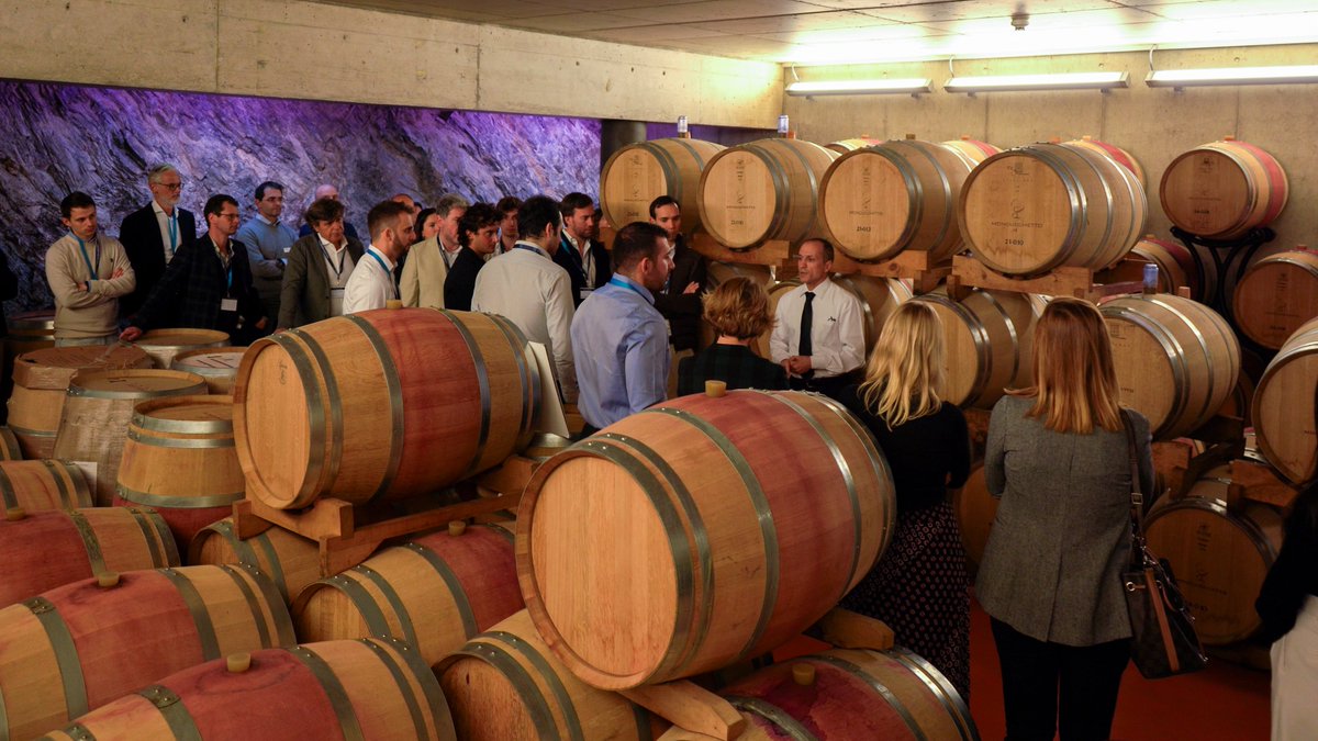 Boldbrain Startup Challenge tweet media