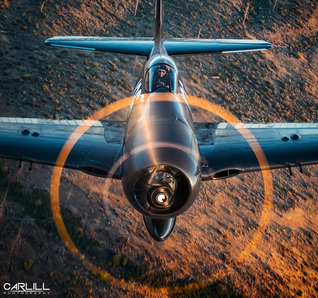 cecilia_hl1584's tweet photo. F8F Bearcat 

#Military #MilitaryAviation
#F8F https://t.co/3bOiUlR5MD
