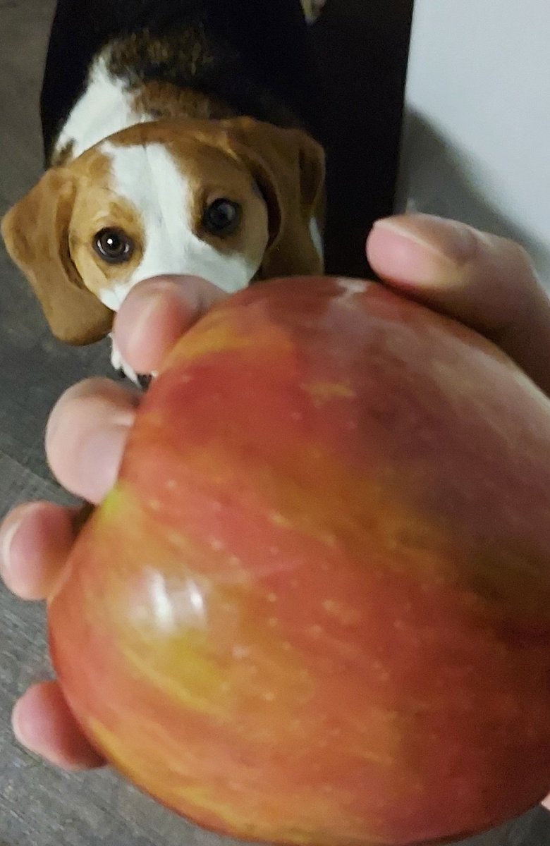 Ken ♠️ tweet media