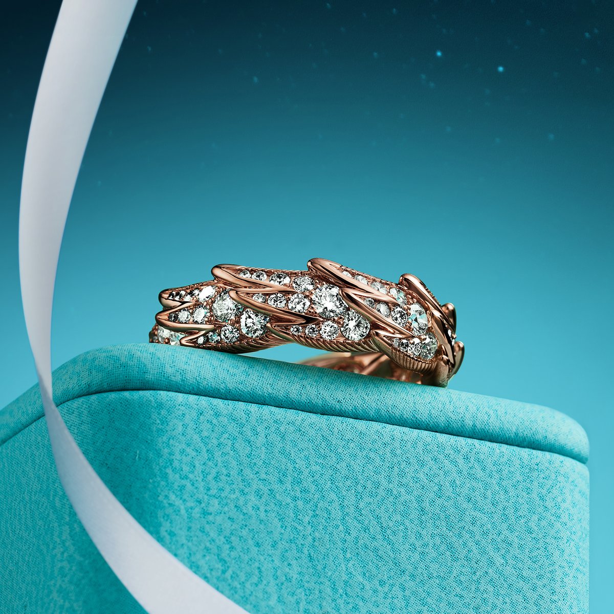 1965年に誕生したティファニーのアイコンに着想を得た、バード オン ア