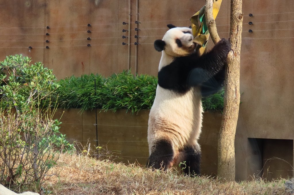 ゆかたん (@yu_ka7493) / Posts / X