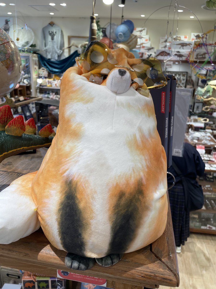 謎の置物 お店では下の方だけでなく、上側も見てみてくださいね。 思わぬ発見が