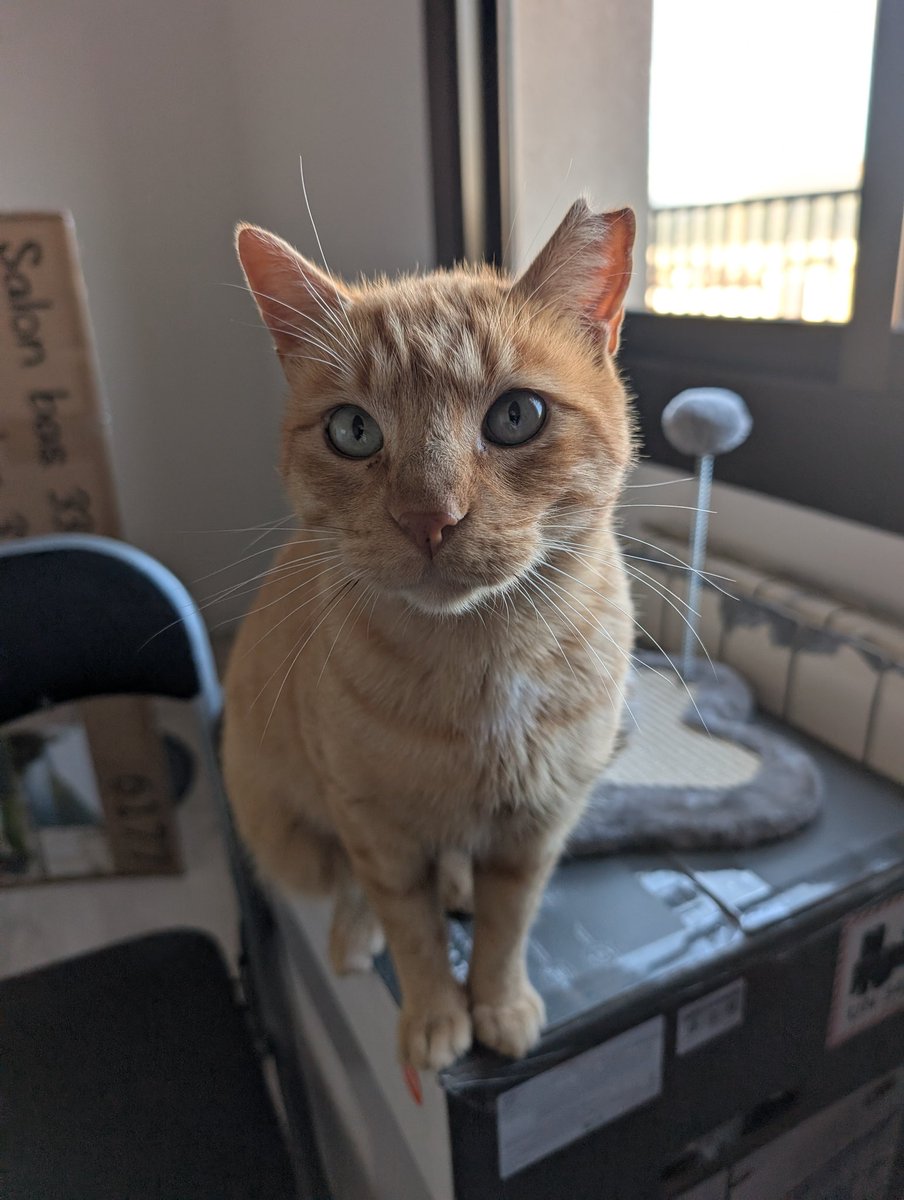 Roger Raventós Calle tweet media